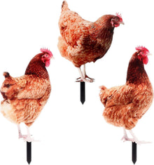 3 Stücke Gartenstecker Henne Huhn Gartendeko Acryl Rasen