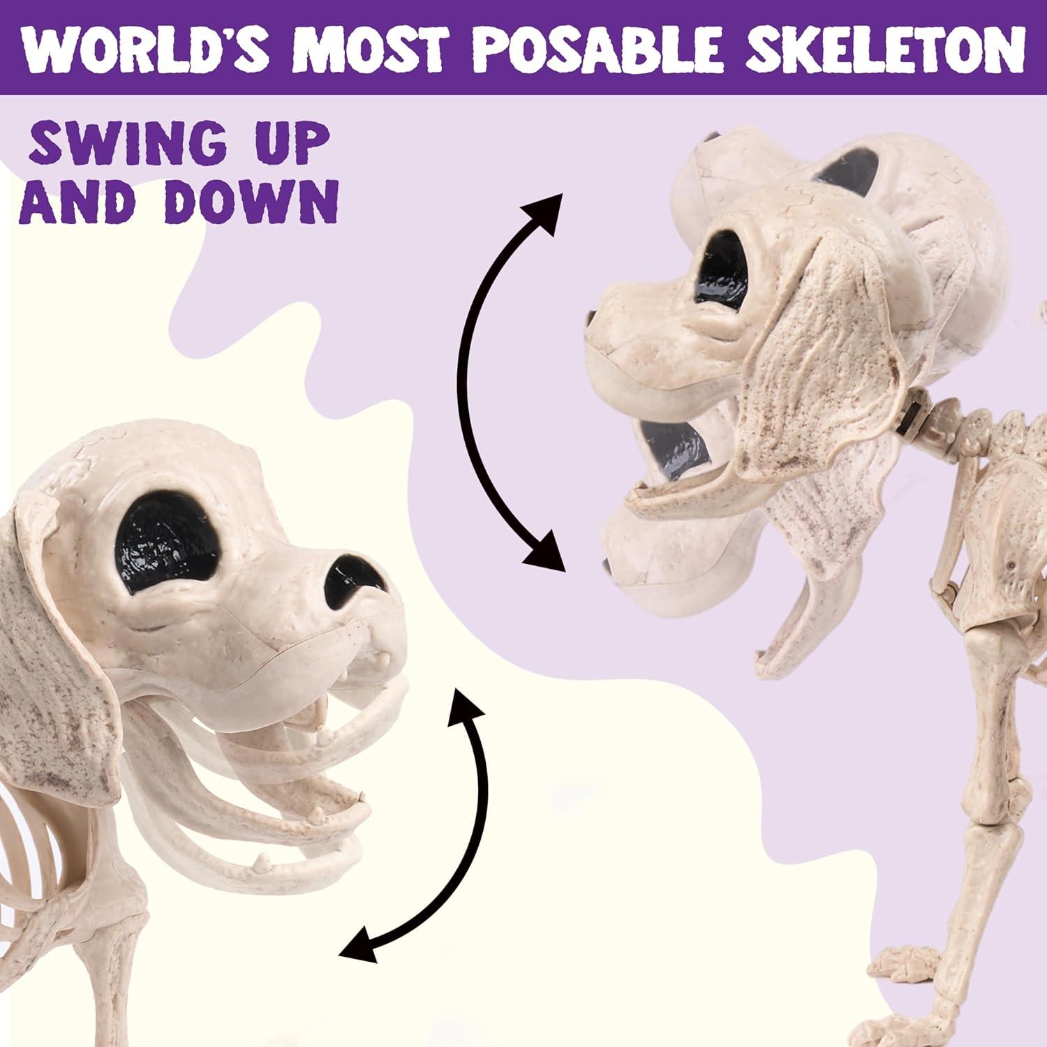 JOYIN Posable Halloween Hund Skelett Dekoration 24.8cm x