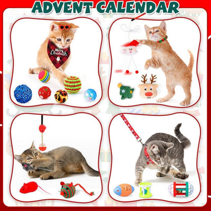 Adventskalender Katze 24 Katzenspielzeuge Weihnachtskalender 2024