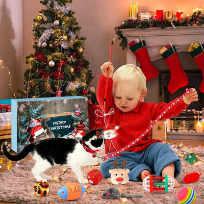 Adventskalender Katze 2024 Weihnachtskalender 24 Katzenspielzeuge