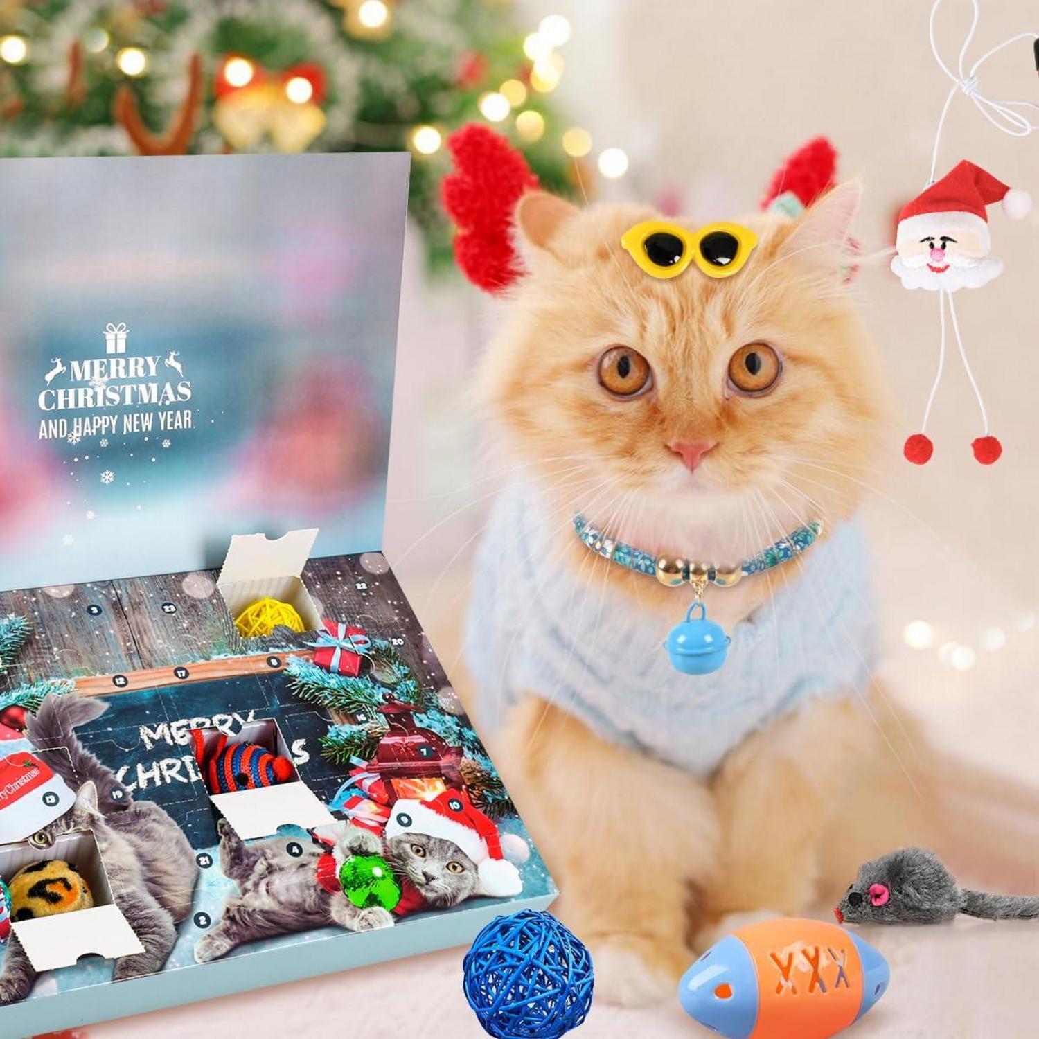 Adventskalender Katze 24 Katzenspielzeug Weihnachtsgeschenk Wiederverwendbar