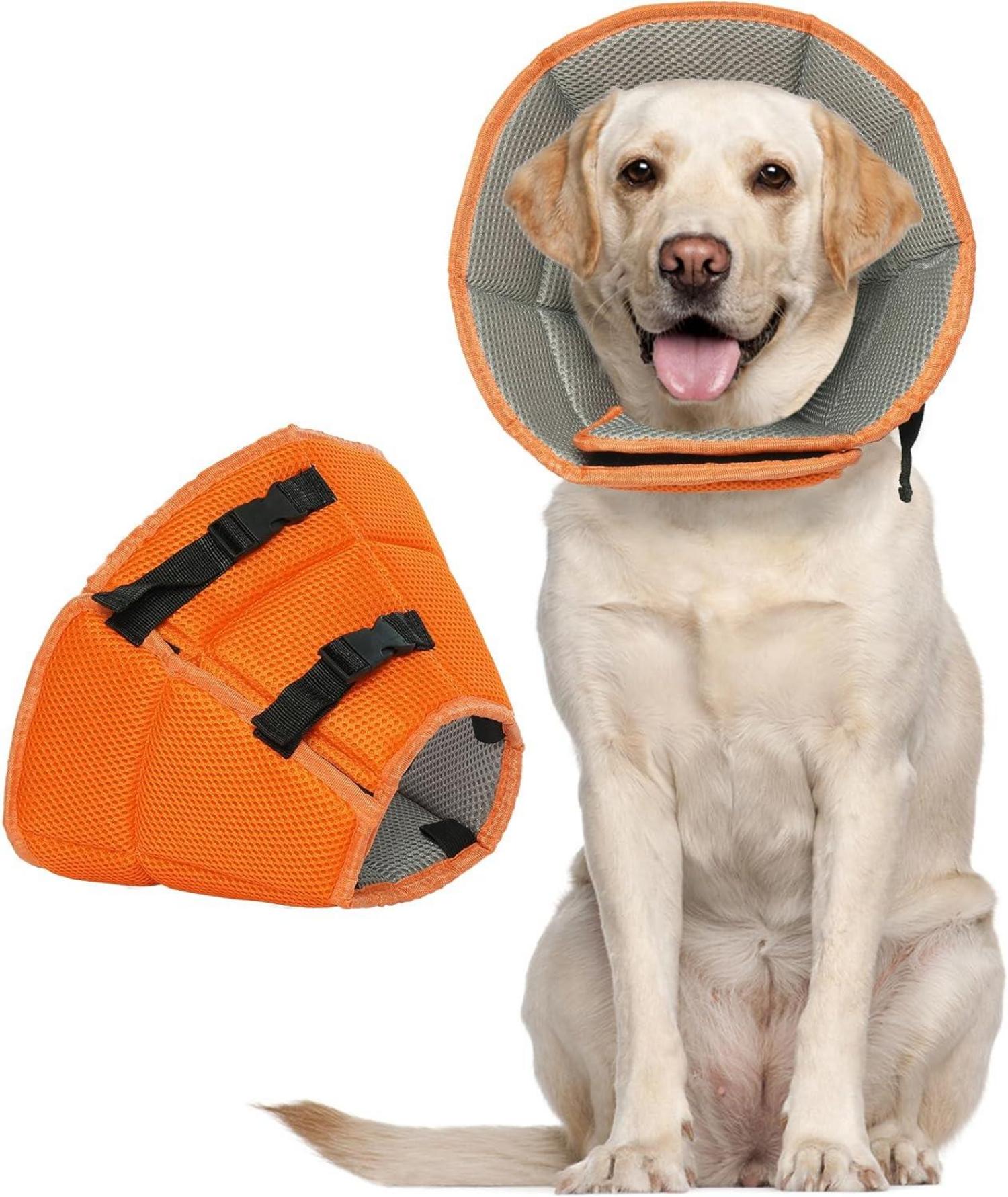 Leckschutz Halskrause für Hunde Verstellbar Orange L