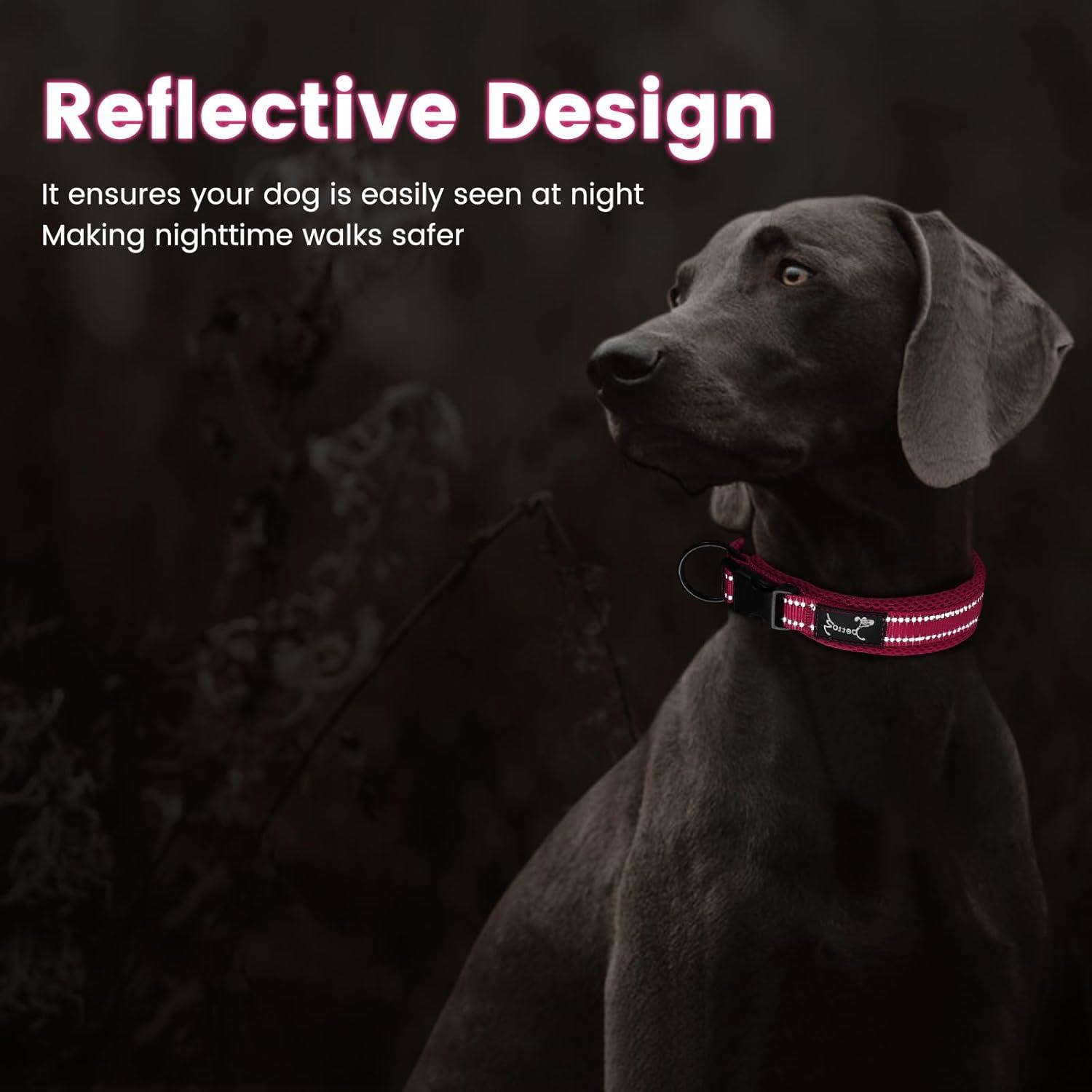 IDOGCHEW Hundehalsband Reflektierendes Nylon Gepolstertes Halsband