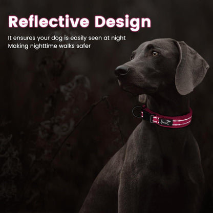 IDOGCHEW Hundehalsband Reflektierendes Nylon Gepolstertes Halsband