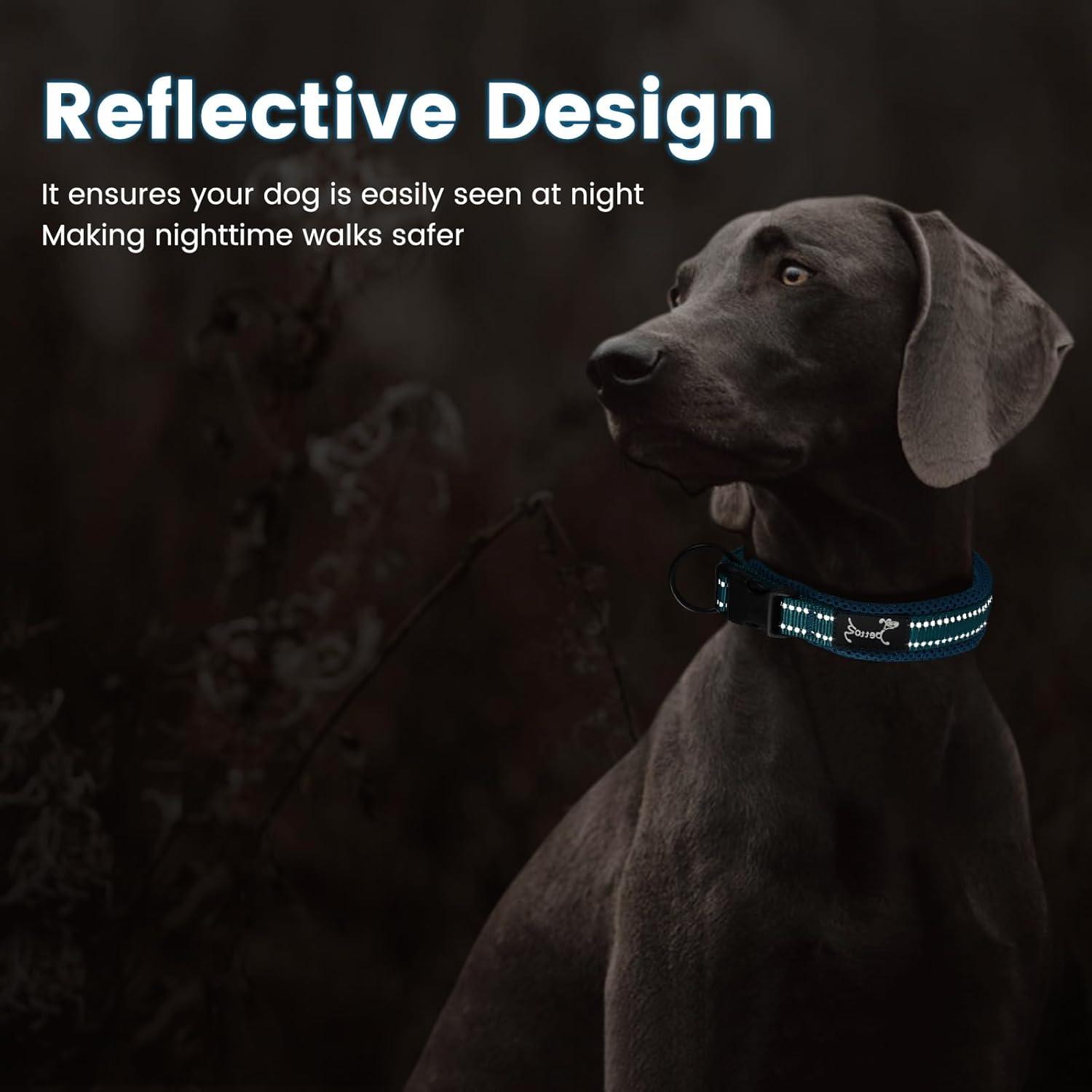 Reflektierendes Verstellbares Hundehalsband Nylon Blau Weich