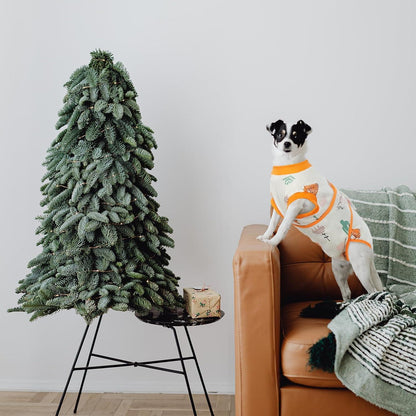 Hundebody Op Kastration Rüde Hündin Atmungsaktiv Orange XL