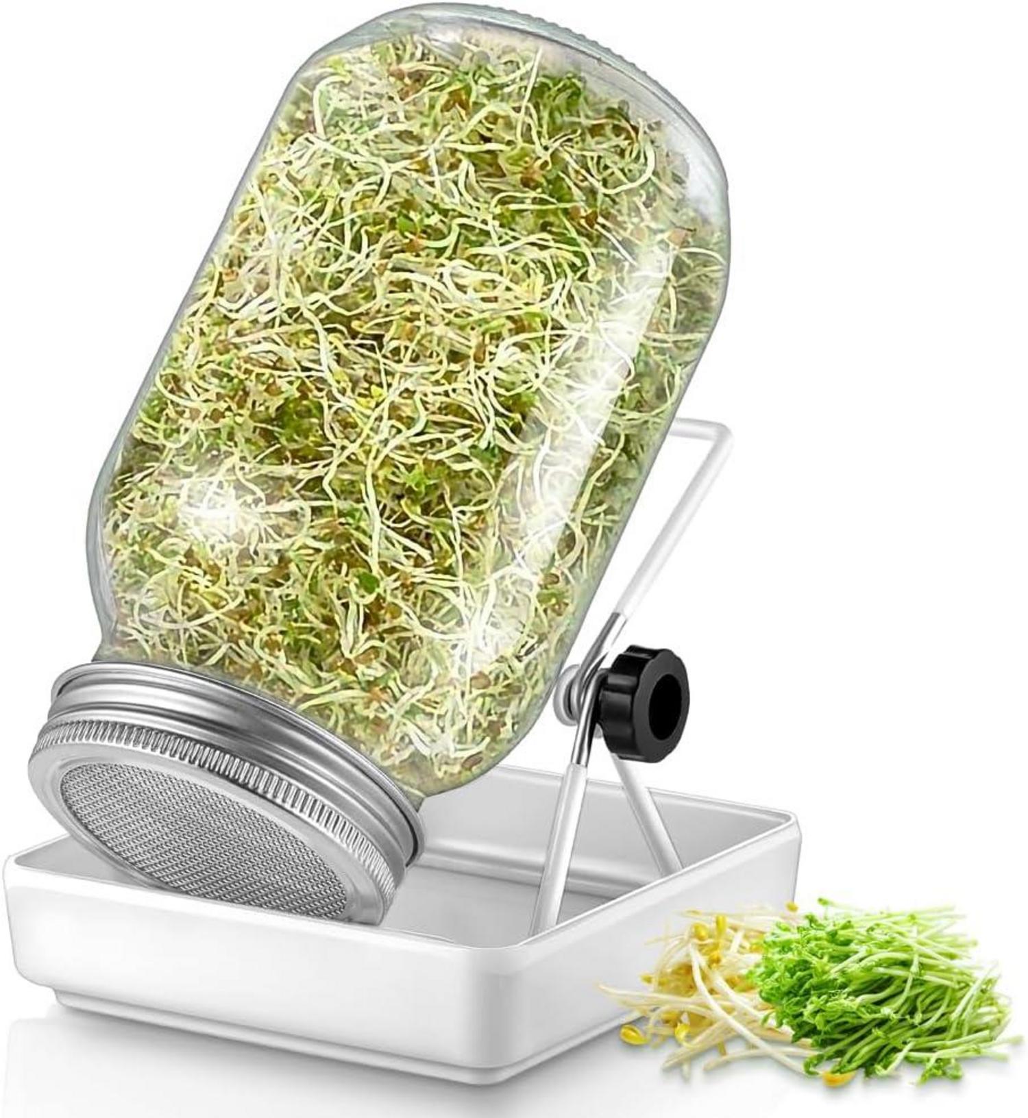 Sprossen Keimglas Set Filterdeckel Edelstahl Ständer 750ml