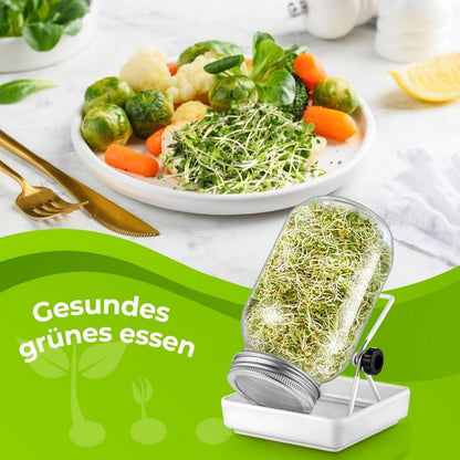 Hydroponisches Sprossenglas Set mit Edelstahldeckel - 750ml