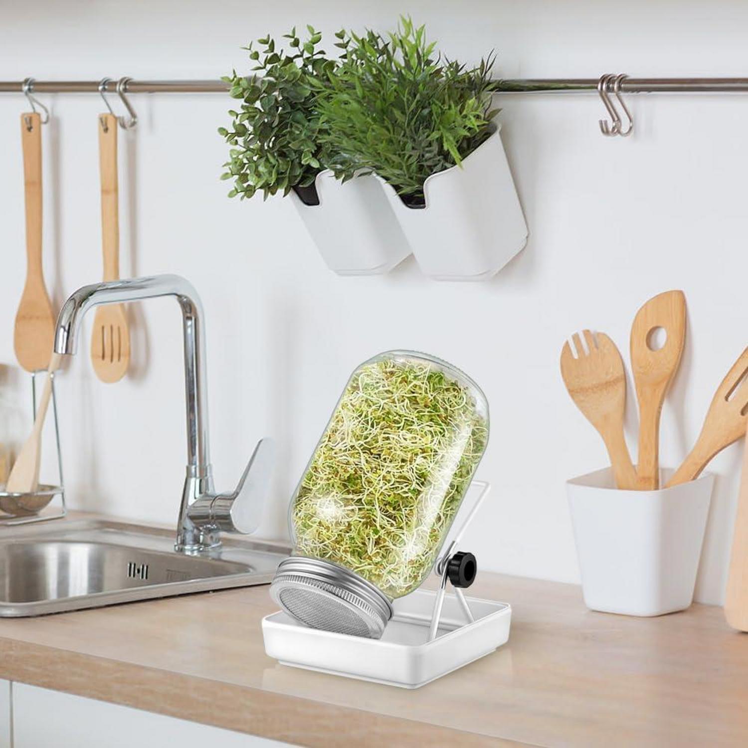 Sprossenglas Keimglas Set 750ml Edelstahl Filter Ständer Bio-Sprossen