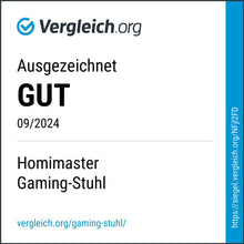 Ergonomischer Gaming Stuhl mit verstellbaren Kissen und Armlehnen