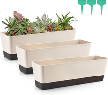 Rechteckiger Blumenkasten 3 Stück 42,4 cm Kunststoff Sukkulenten
