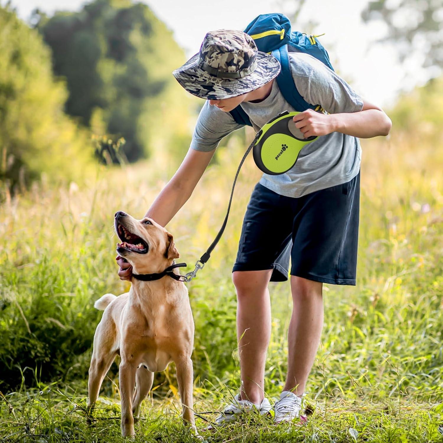Hundeleine 8m Rollleine für Hunde 360 Grad Verhedderungsfrei bis 50kg Grün