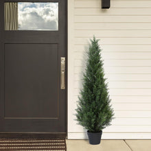 Künstlicher Zedernbaum 125 cm im Topf (2 Stück) Einzelfarbe