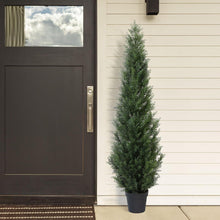 Künstlicher Zedernbaum 155 cm im Topf 2er Pack - Outdoor