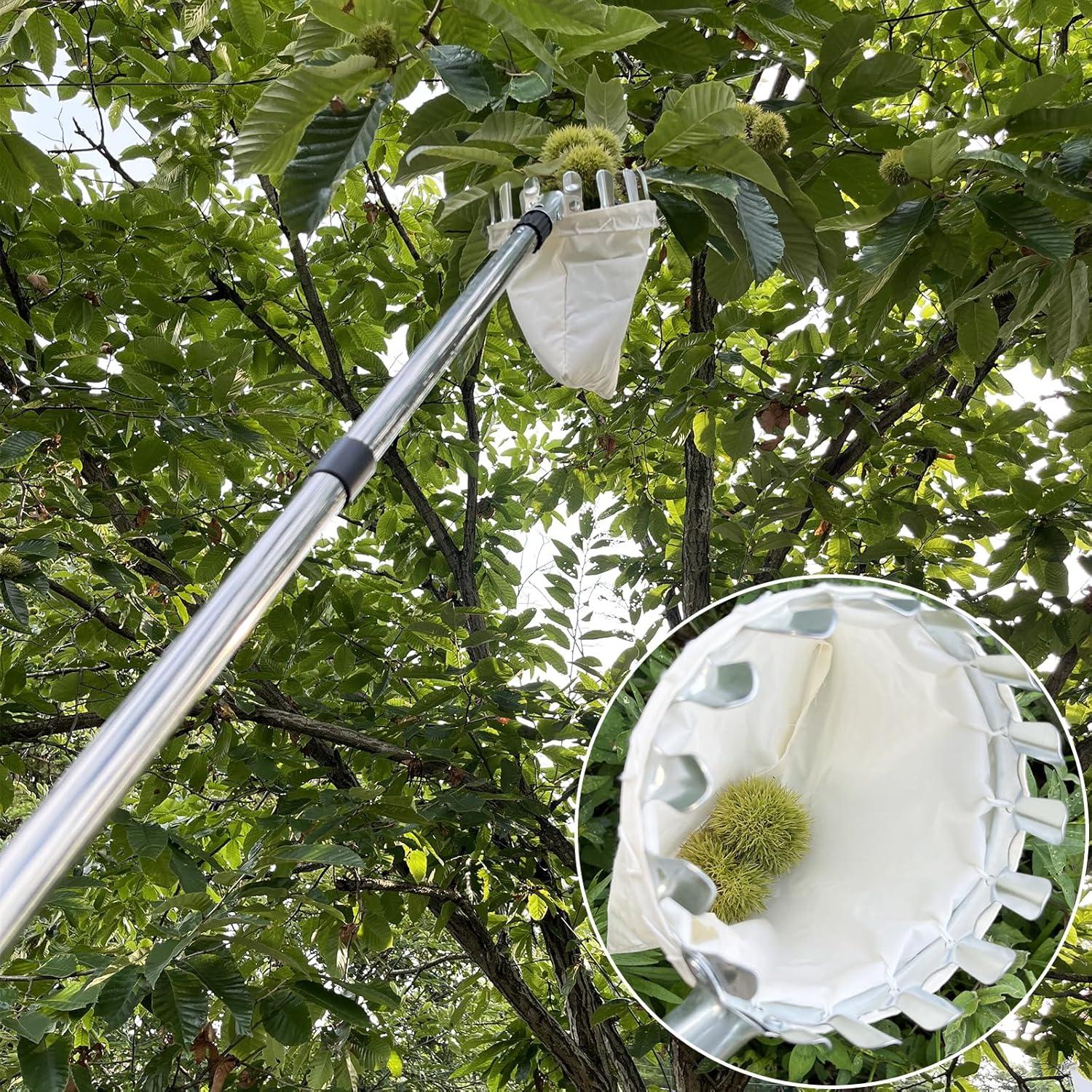 Obstpflücker 4,2m Teleskopstiel Edelstahl Baumwollbeutel Apfel Kirsche