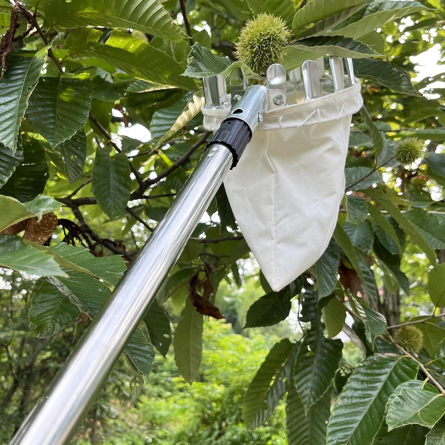 Obstpflücker 4,2m Teleskopstiel Edelstahl Baumwollbeutel Apfel Kirsche