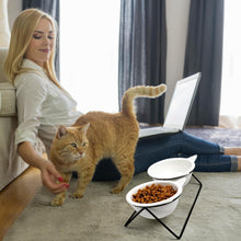 Keramik Futternapf Katze - Erhöhter