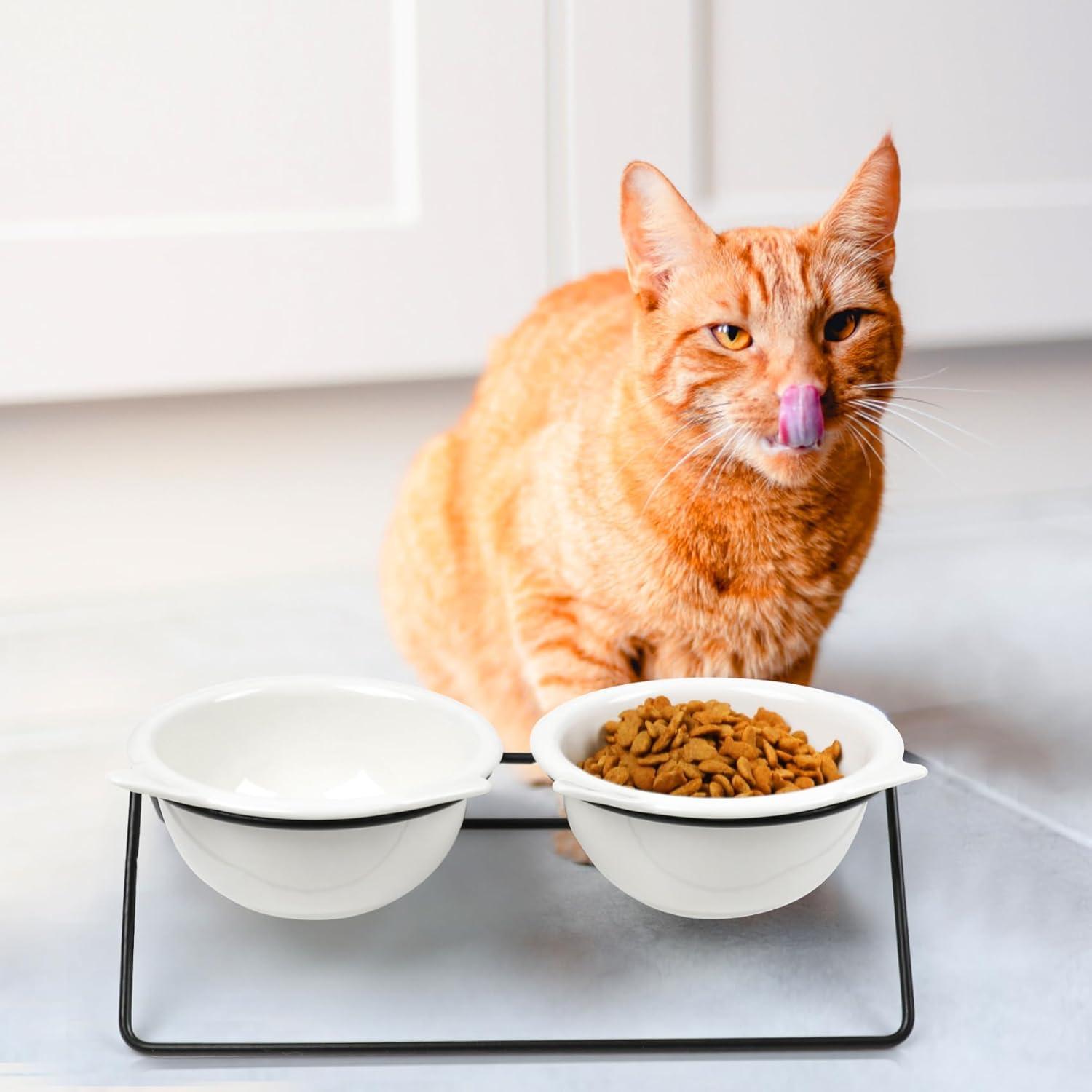 Katzennapf Keramik Futternapf Erhöhter Zervixschutz