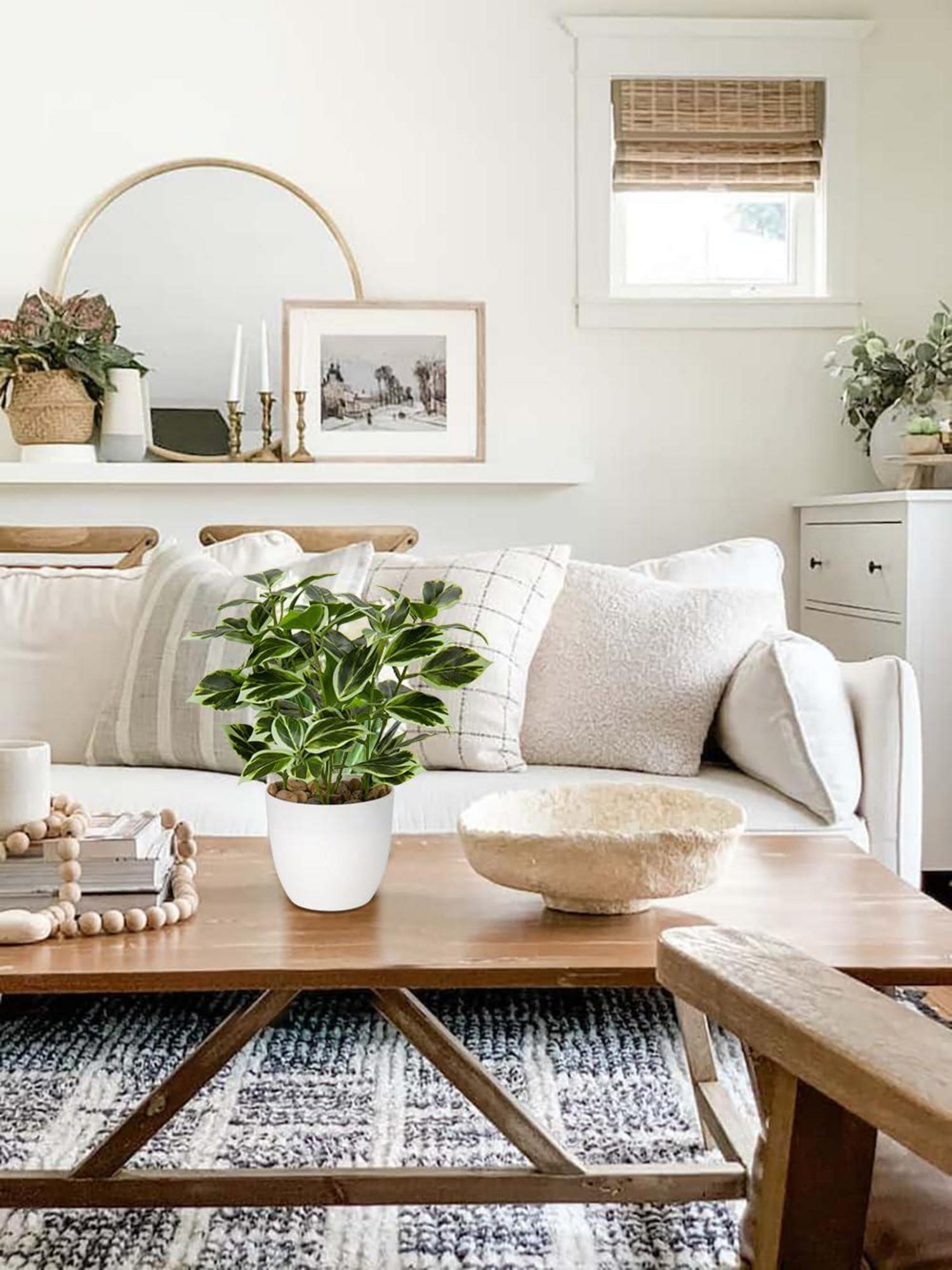 Kunstpflanze Künstliche Ficus Pflanze Dekopflanze Fensterbank