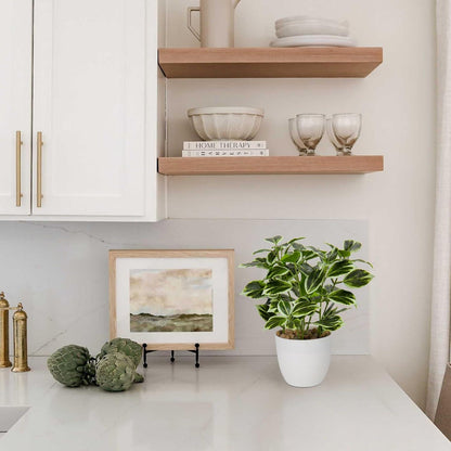 Künstliche Ficus Dekopflanze im Topf für Fensterbank & Wohnzimmer