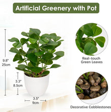 Kunstpflanze Ficus im Topf 25 cm Grün Wohnzimmer Deko