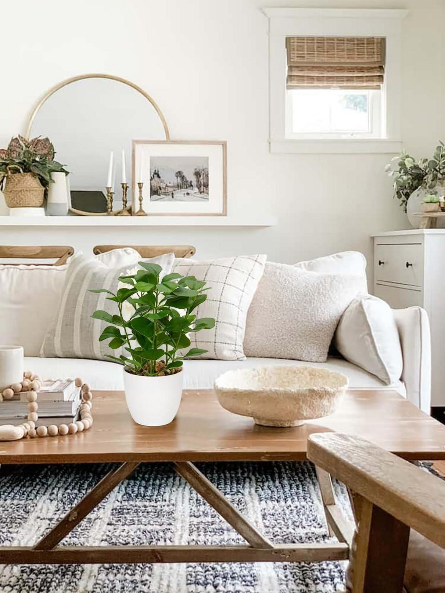 Kunstpflanze Ficus Dekopflanze Fensterbank Grün