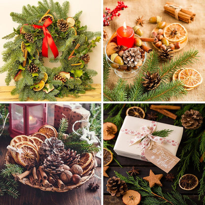 Weihnachten Potpourri Deko 69-teilig Tannenzapfen Zimtstangen Orangenscheiben