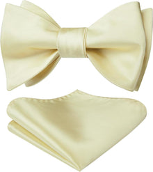 Elegante Champagner Fliege mit Taschentuch Set