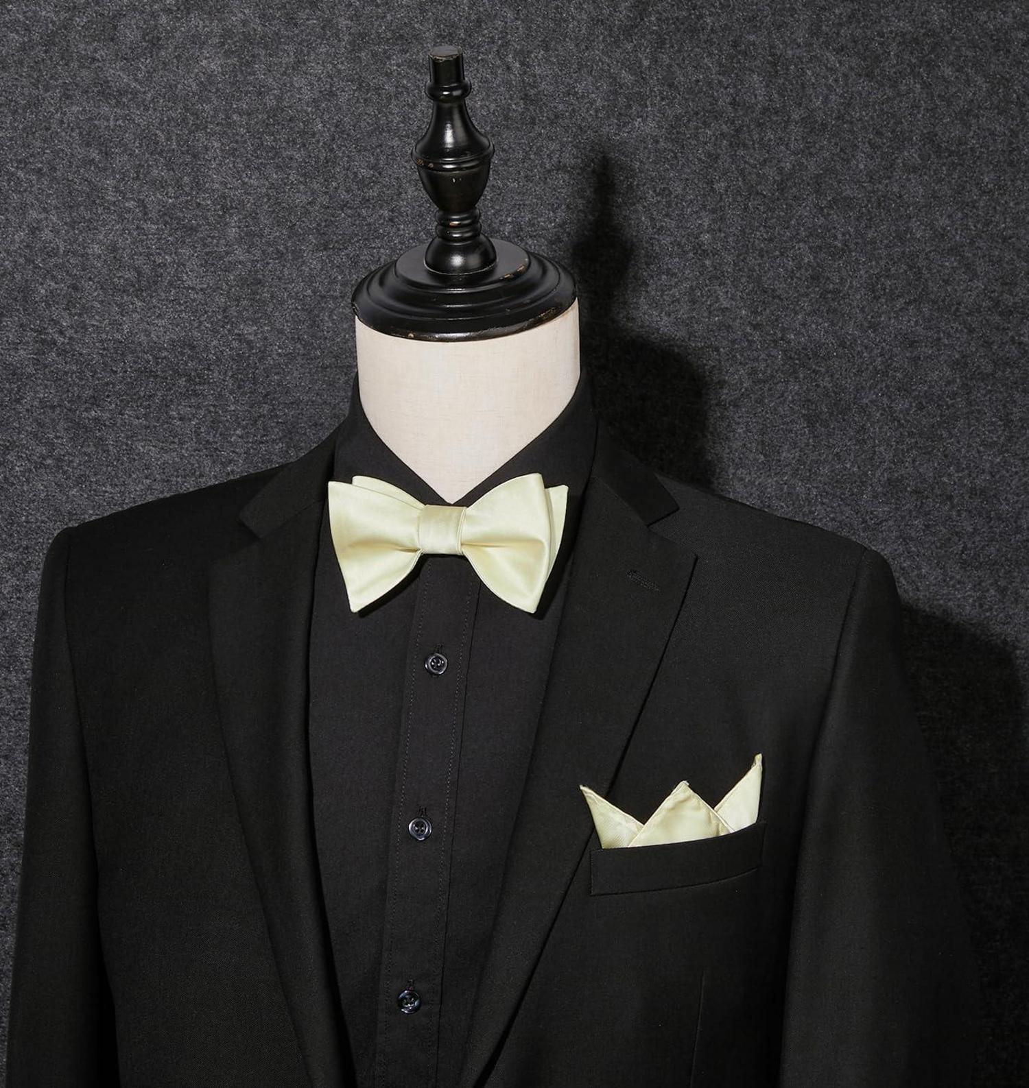 Elegante Champagner Fliege mit Taschentuch Set