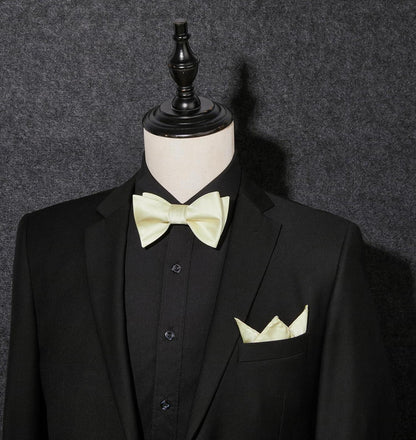 Elegante Champagner Fliege mit Taschentuch Set