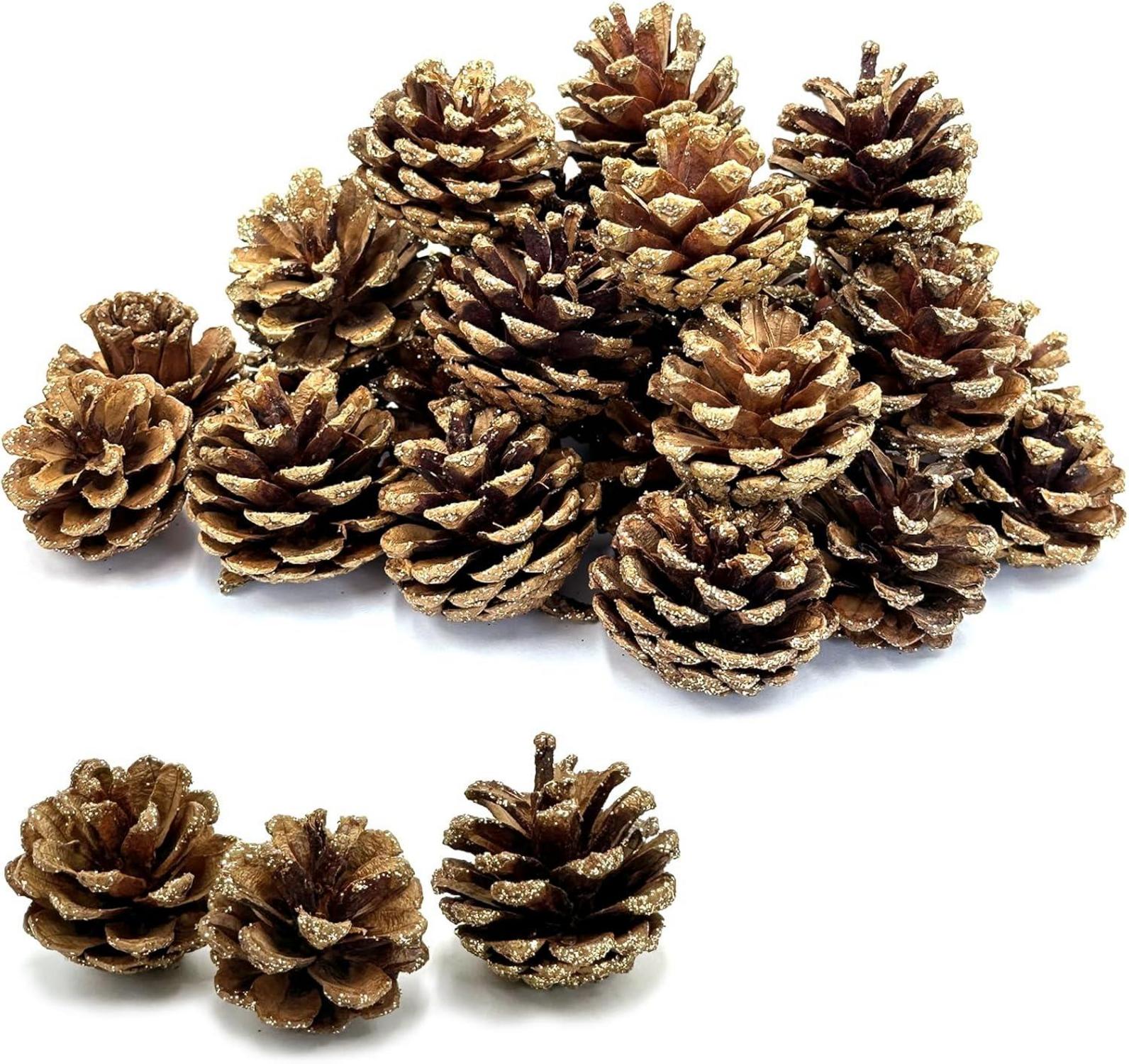 30 Stück goldfarbene Tannenzapfen 3-4cm Weihnachtsdeko Set