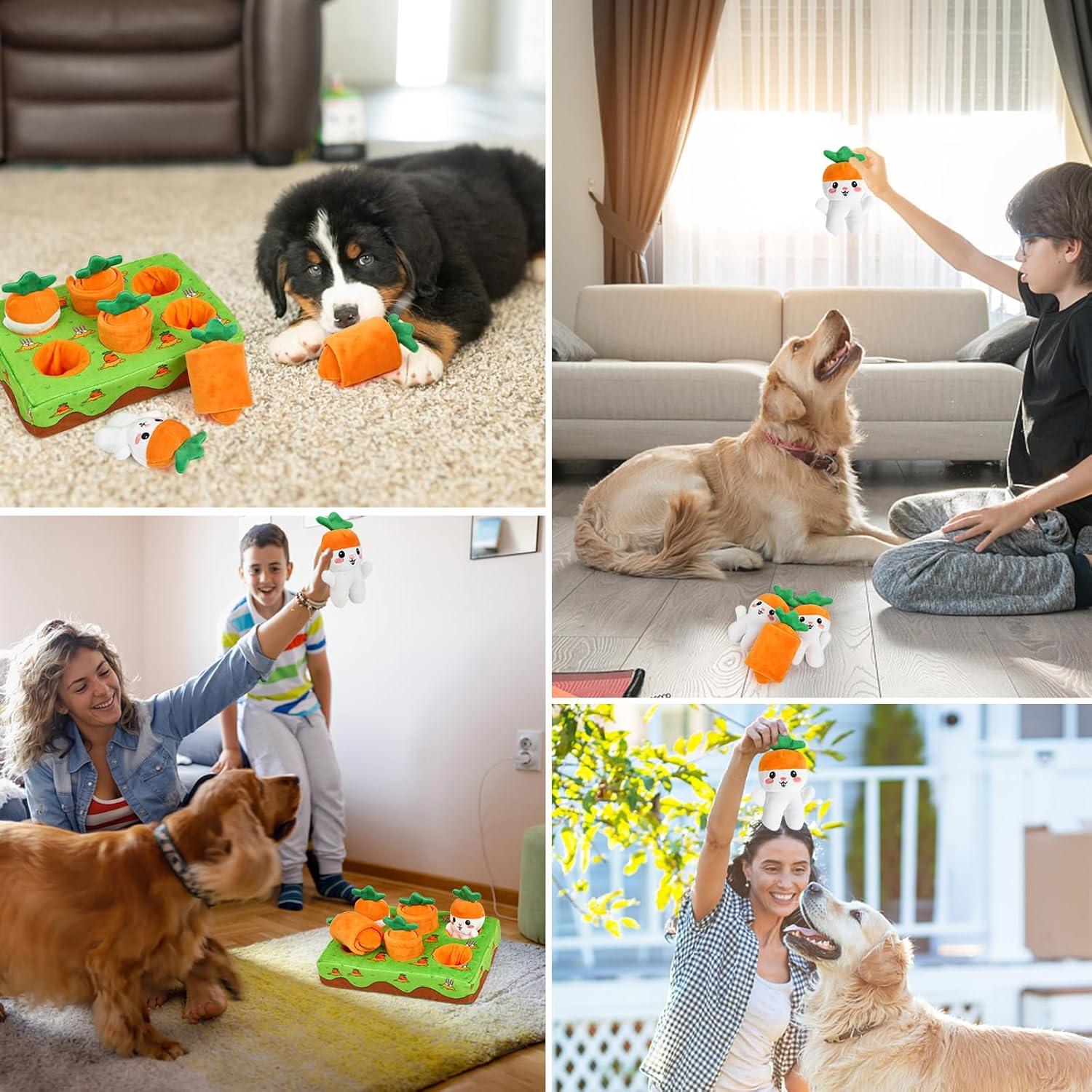 Interaktives Hundespielzeug Karotte Schnüffelteppich Spielzeug