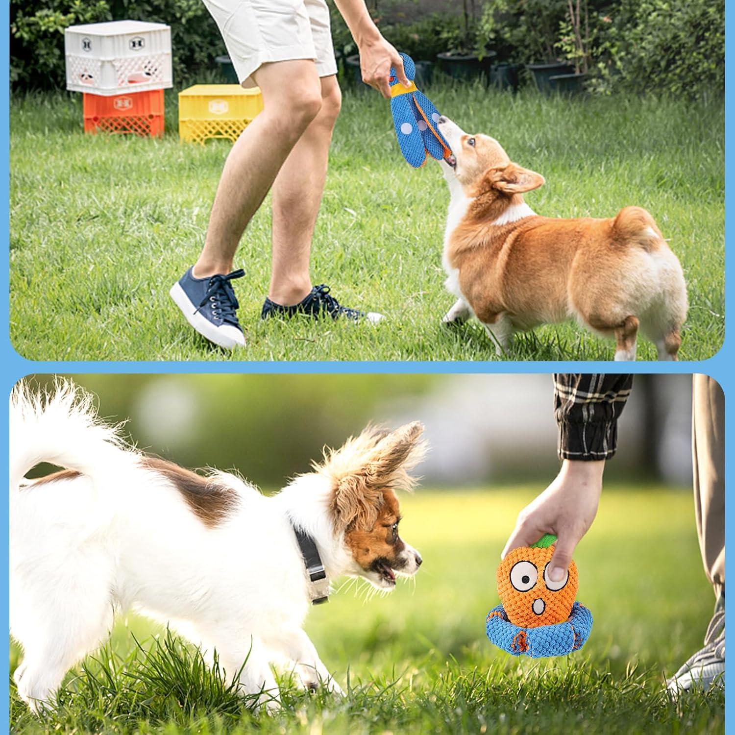 Interaktives Hundespielzeug Octopus Karotte für Hunde Schnüffelspielzeug