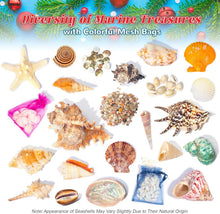 Adventskalender 2023 Kinder Muscheln Seesterne Weihnachten