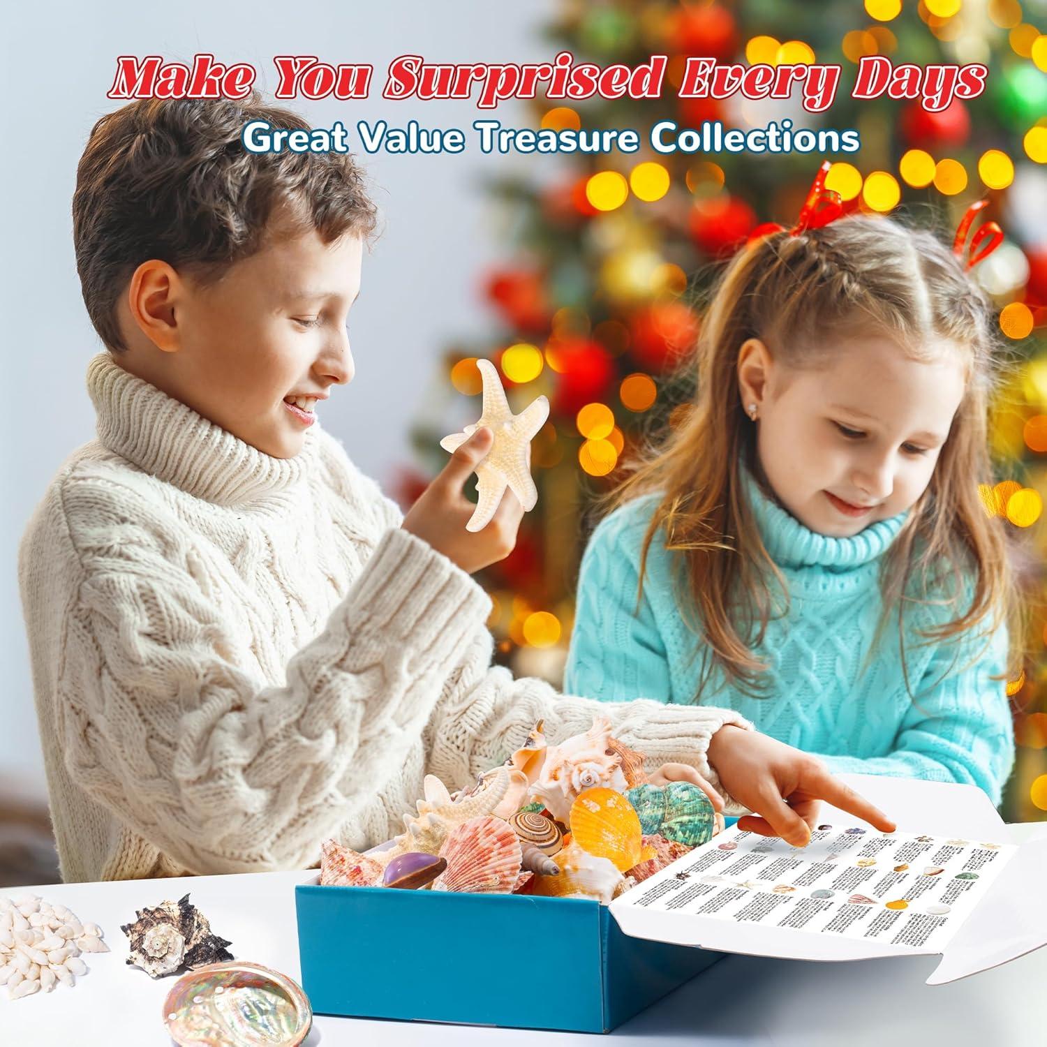 Adventskalender 2023 für Kinder mit Muscheln und Seesternen