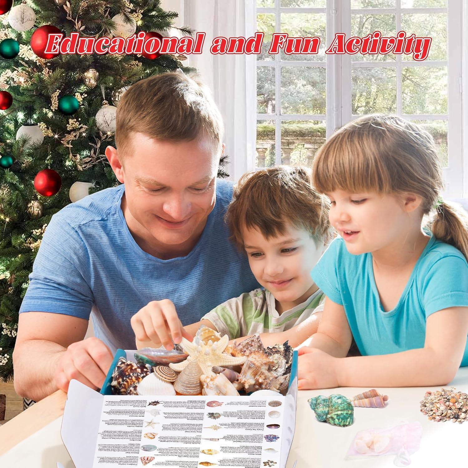 Adventskalender 2023 Muscheln Seesterne Lernen Sammeln Mädchen Jungen