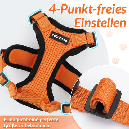 Katzengeschirr mit Leine, ausbruchsicher, orange, Größe M