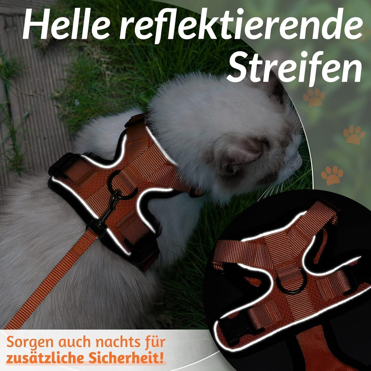 Katzengeschirr mit Leine, ausbruchsicher, orange, Größe M
