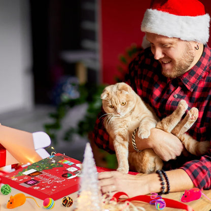 Katzen-Adventskalender 24-tlg. Interaktives Spielzeug Set