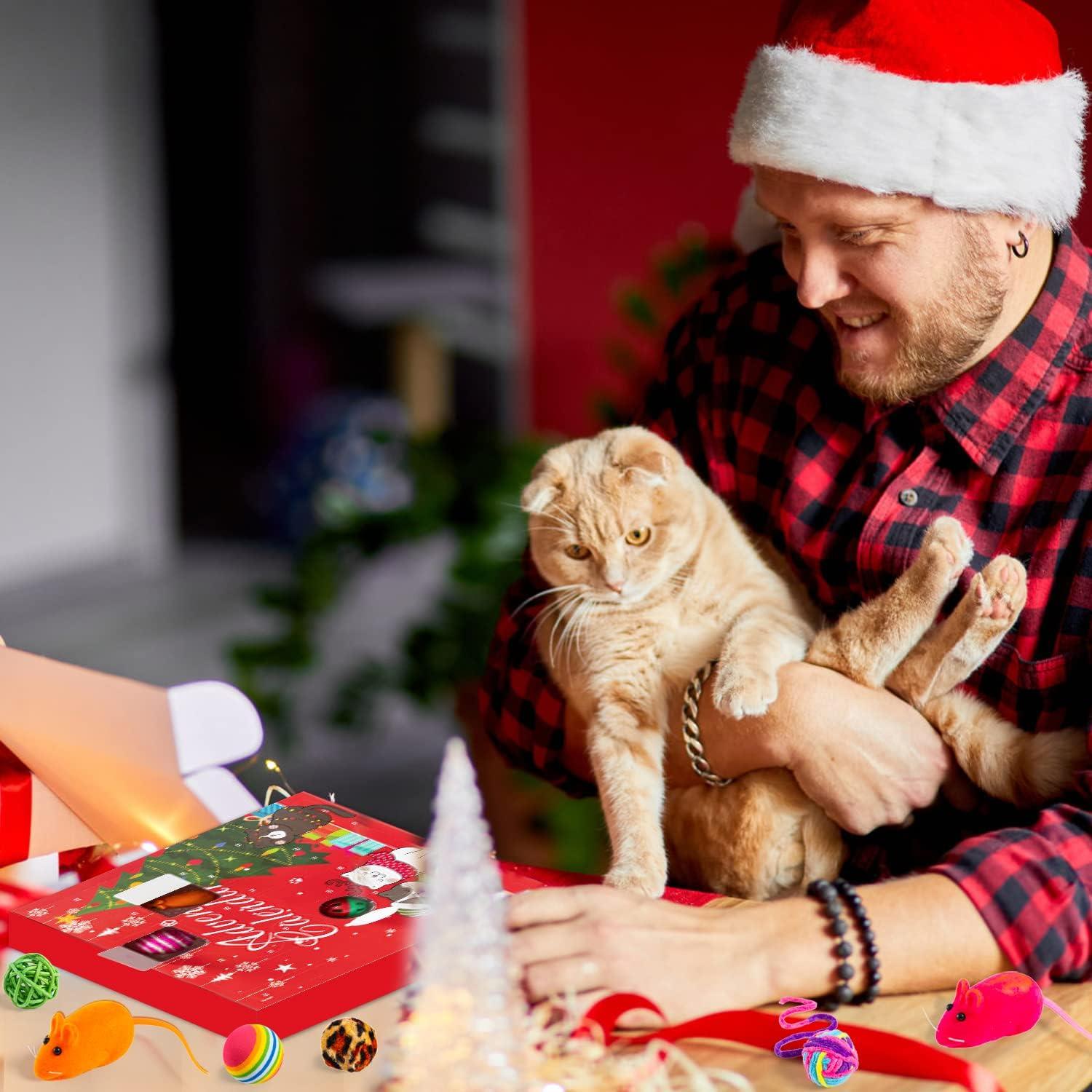 Adventskalender Katzen Interaktives Spielzeug 24-tlg. Katze Federn