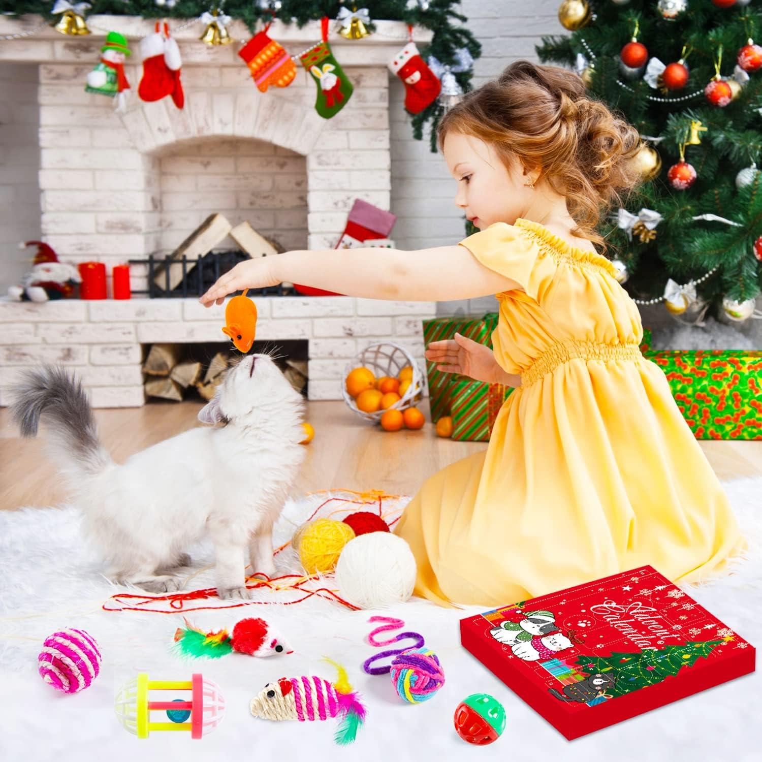 Adventskalender für Katzen 24-tlg. Interaktives Spielzeug Federstab