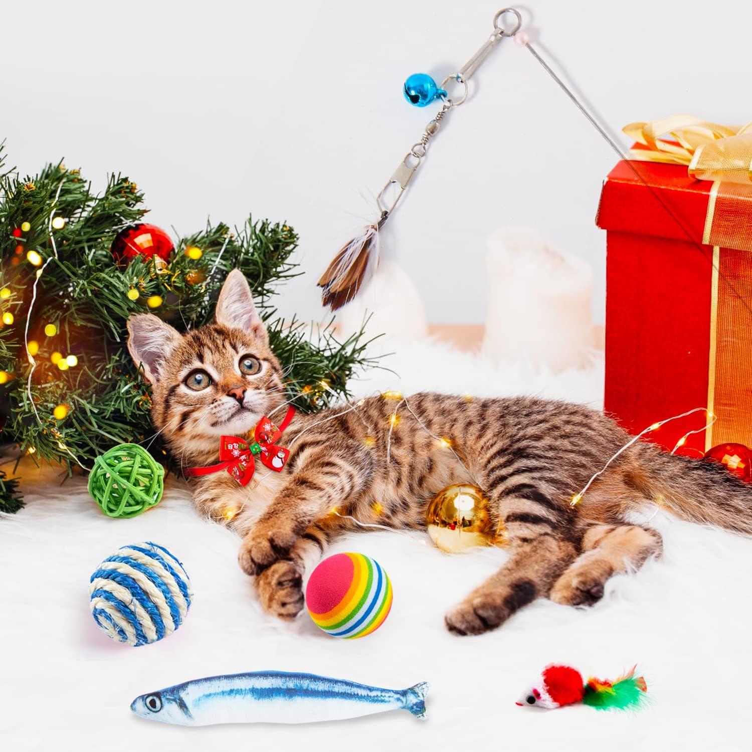 Adventskalender für Katzen, interaktives Kätzchenspielzeug