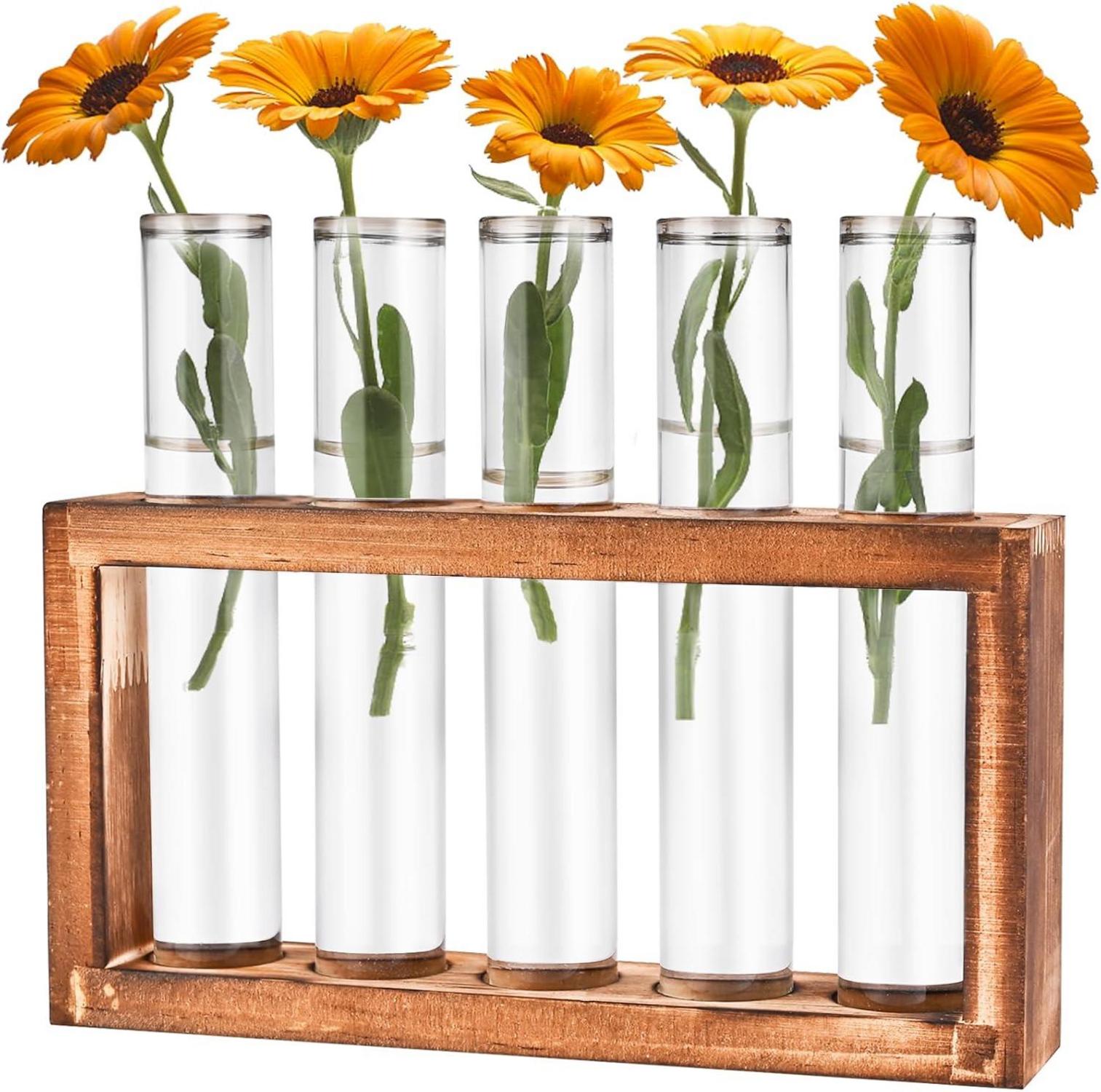 Moderne Reagenzglas Vasen Set mit Holzständer - Deko für Pflanzen