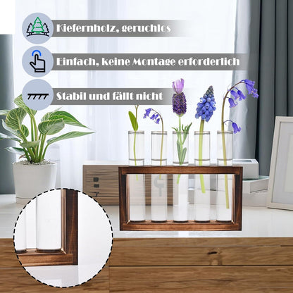 Moderne Reagenzglas Vasen Set mit Holzständer - Deko für Pflanzen