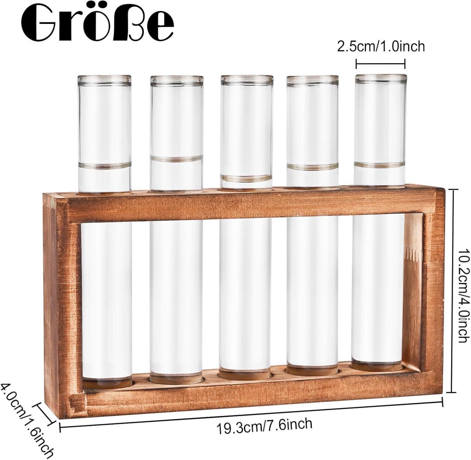 Cieex Reagenzglas Vasen Set mit Holzständer - Moderne Deko für Pflanzen