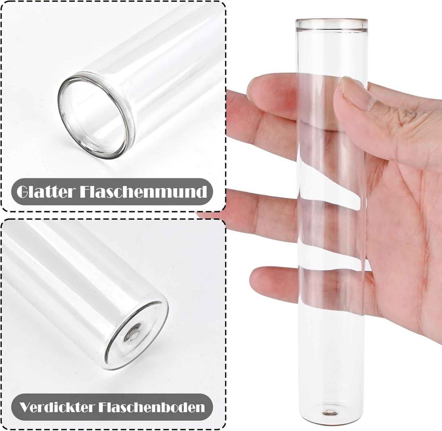 Moderne Reagenzglas Vasen mit Holzständer - Deko Set für Pflanzen