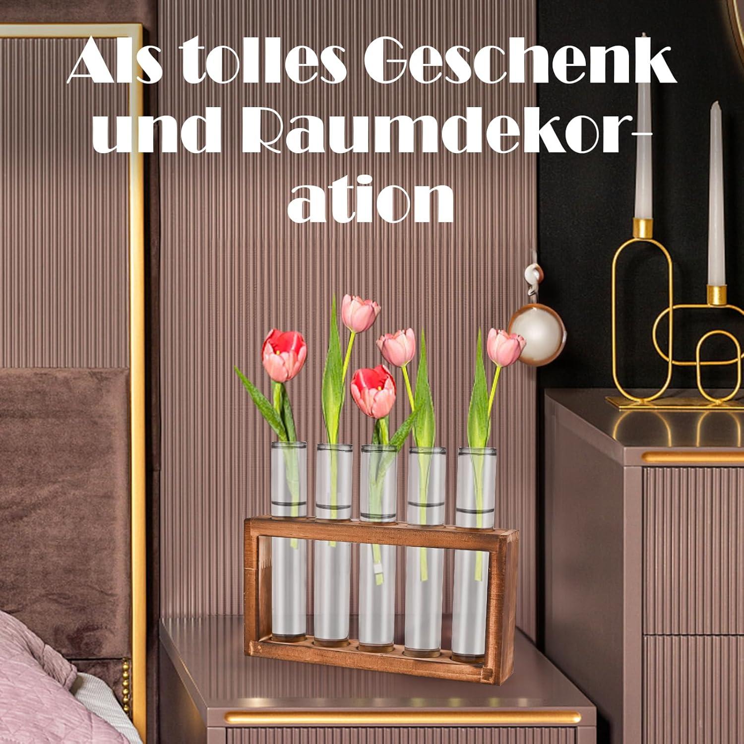 Reagenzgläser Blumenvase Set für Hydrokultur Pflanzen-Küche/Wohnzimmer