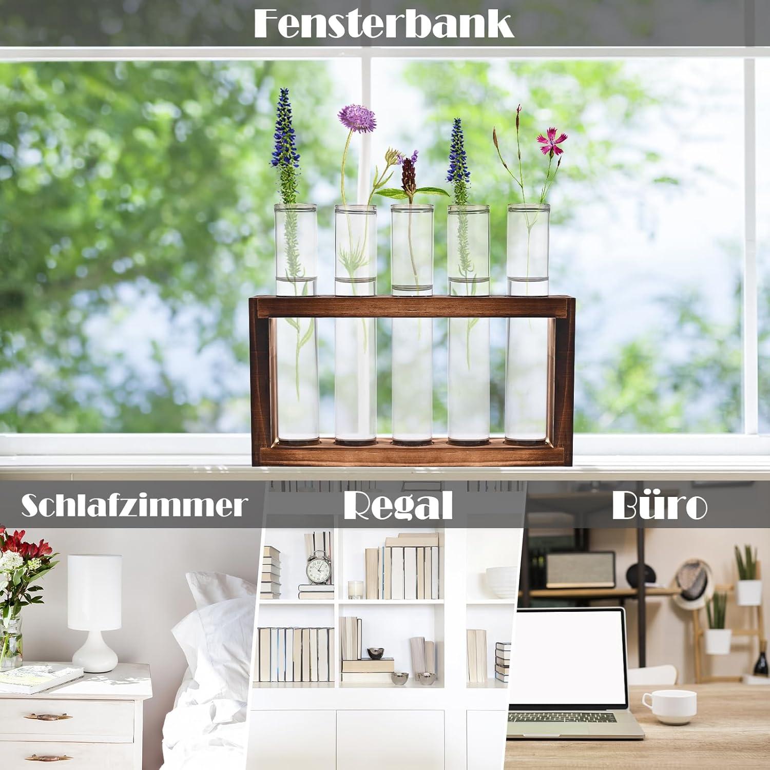 Moderne Reagenzglas Vasen mit Holzständer - Deko Set für Pflanzen