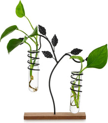 Moderne Glasseam Propagation Station Vase mit Metallrahmen