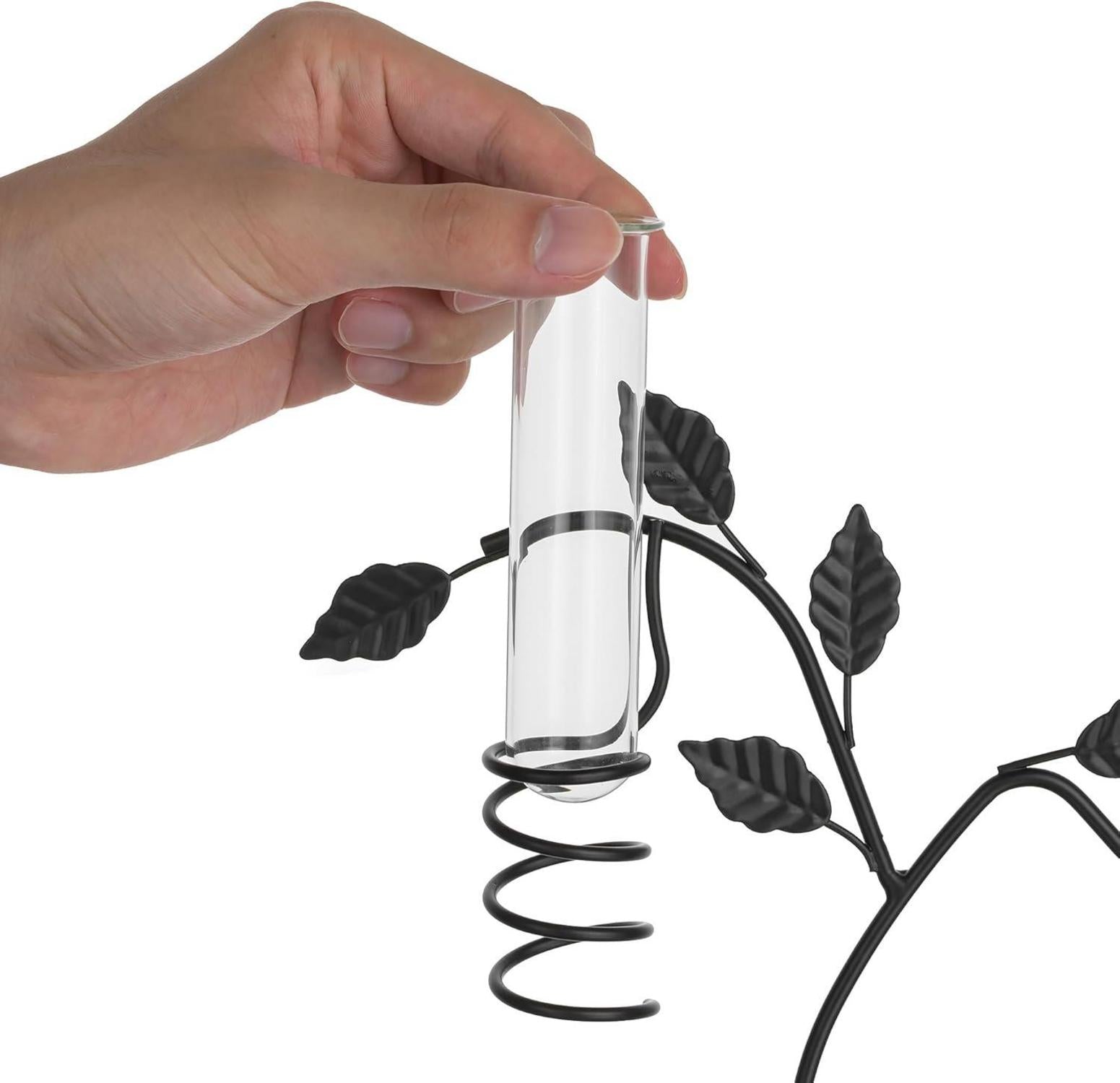 Propagationsstation Vase Glas Terrarium Hydrokultur Blumenvase